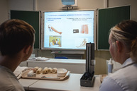 Zväčšiť fotografiu - Európskej komisii predstavili plány aj problémy vyplývajúce z transformácie regiónu - TSK_EK HN_mini-57
